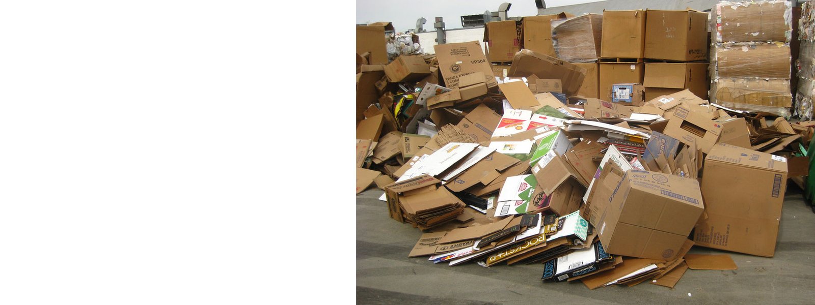 Card board junk removal
