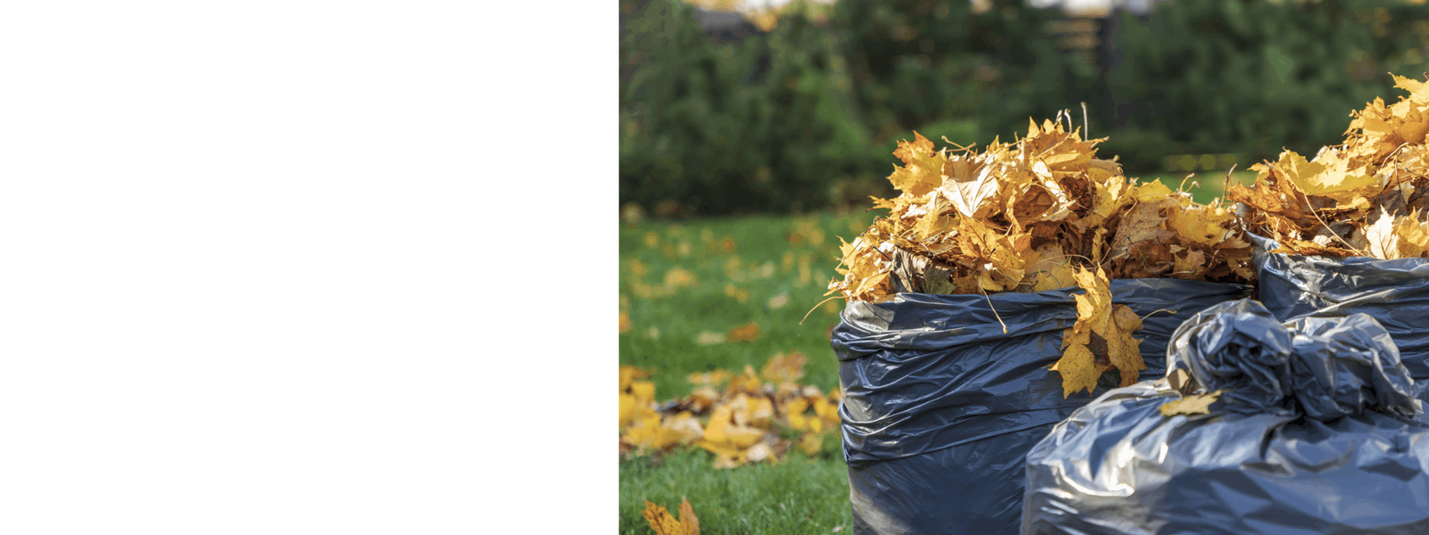 garden waste removal